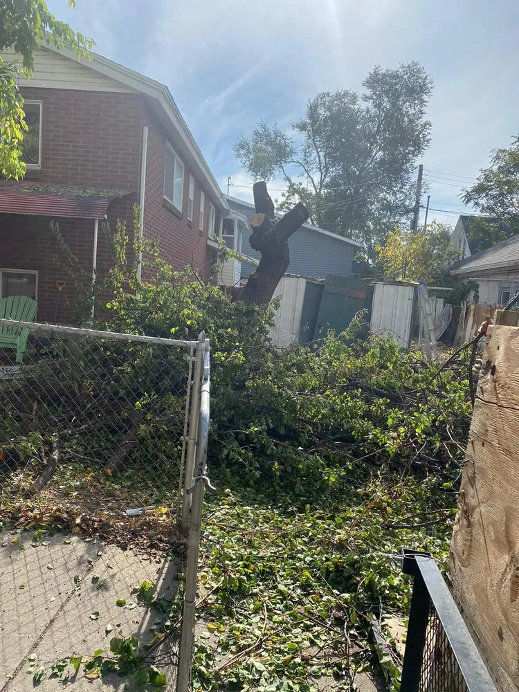 Affordable outdoor landscaping in Provo, UT - Martinez Landscaping