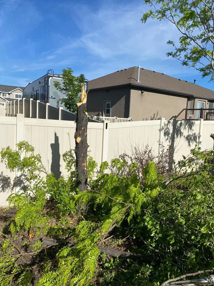 Trusted landscape design in Provo, UT by Martinez Landscaping