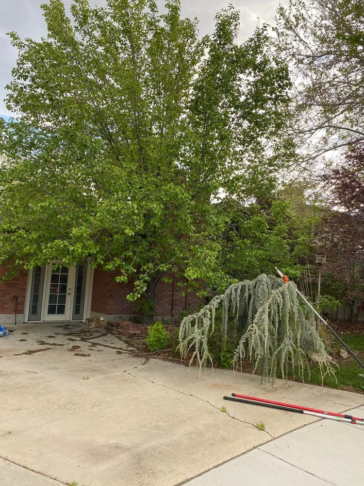 Expert landscaping services with custom design in Provo, UT by Martinez Landscaping