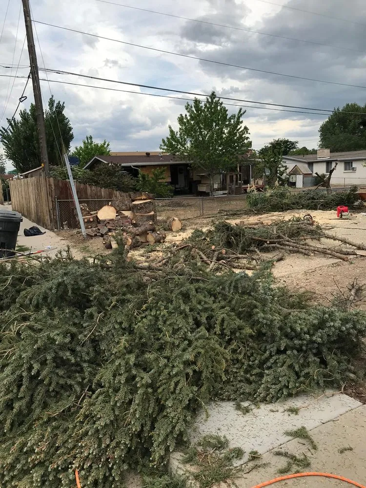 Trusted landscape design experts serving Provo, UT - Martinez Landscaping