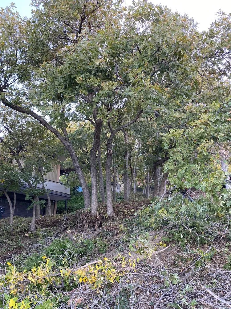 Reliable lawn mowing service experts serving Provo, UT - Martinez Landscaping