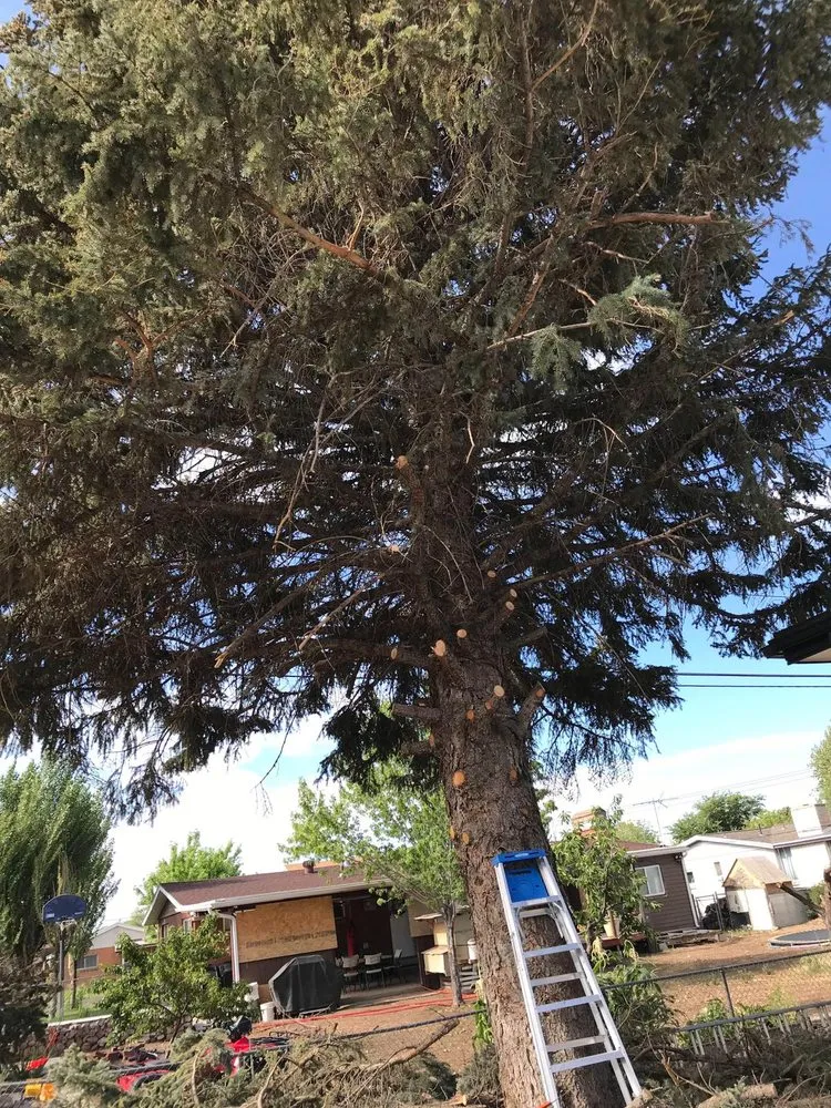 Local lawn care service in Provo, UT - Martinez Landscaping