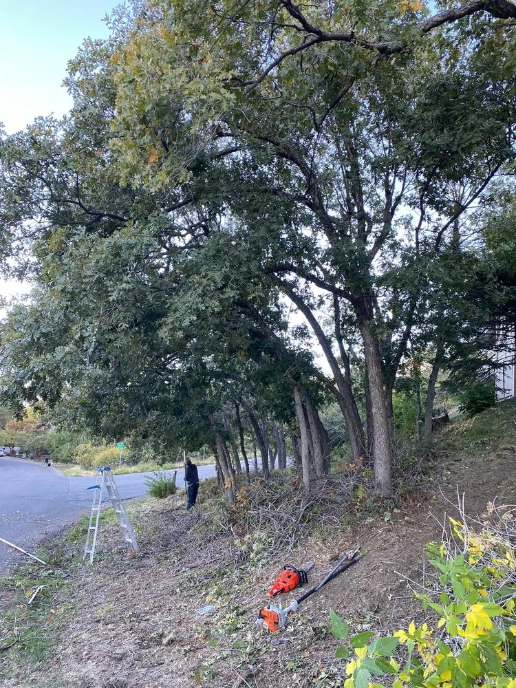 Custom yard maintenance in Provo, UT by Martinez Landscaping