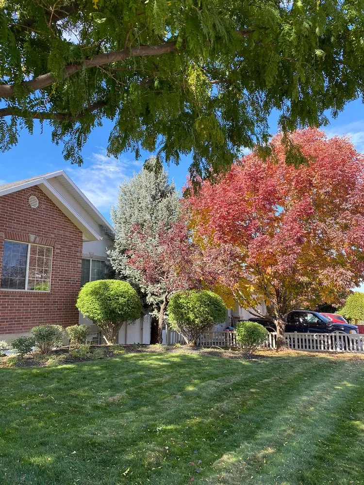 Trusted lawn mowing service experts serving Provo, UT - Martinez Landscaping