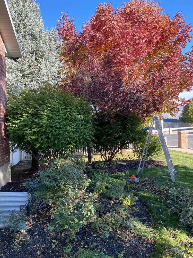 Professional yard maintenance in Provo, UT by Martinez Landscaping
