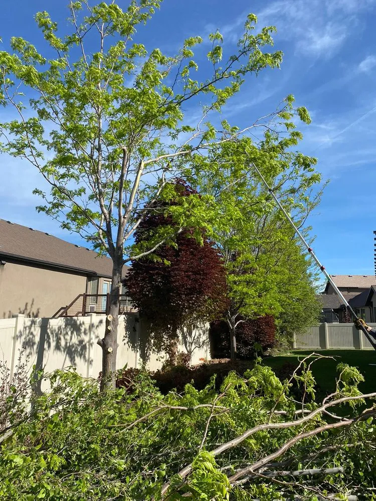 Local residential landscaping with custom design in Provo, UT by Martinez Landscaping