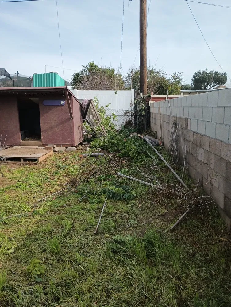 Professional lawn care service experts serving Redlands, CA - Martinez Landscaping