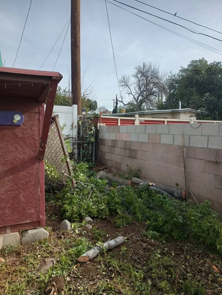 Affordable landscape design experts serving Redlands, CA - Martinez Landscaping