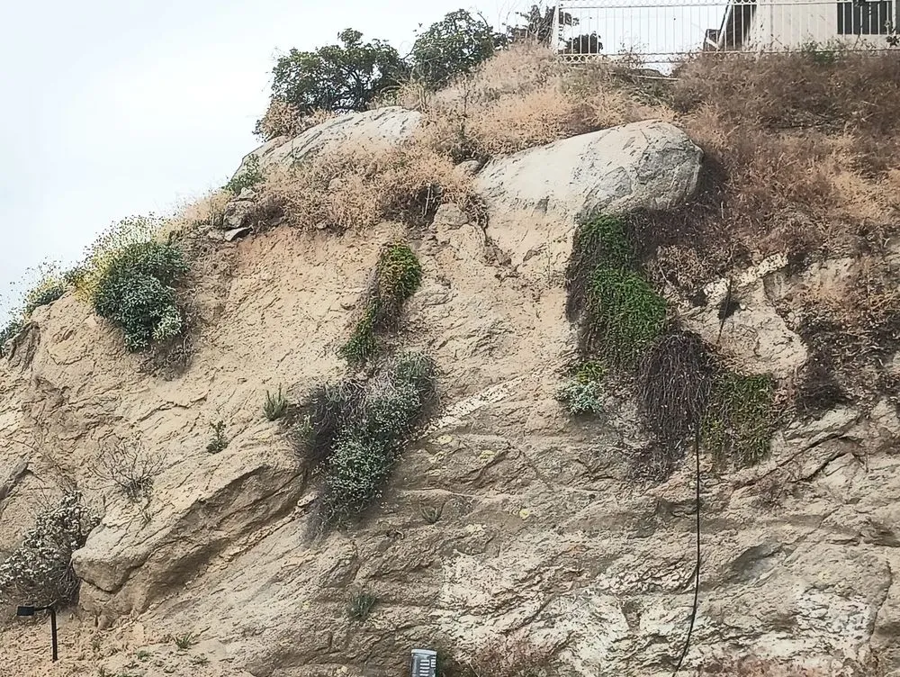 Top-rated outdoor landscaping for homes in Redlands, CA by Martinez Landscaping