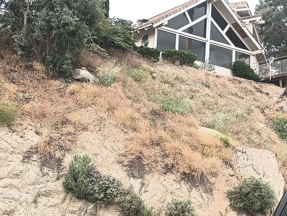 Top-rated landscaping services in Redlands, CA - Martinez Landscaping