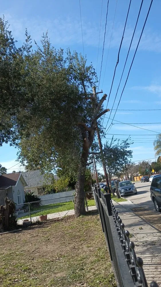 Local lawn mowing service for residential properties across Redlands, CA - Martinez Landscaping