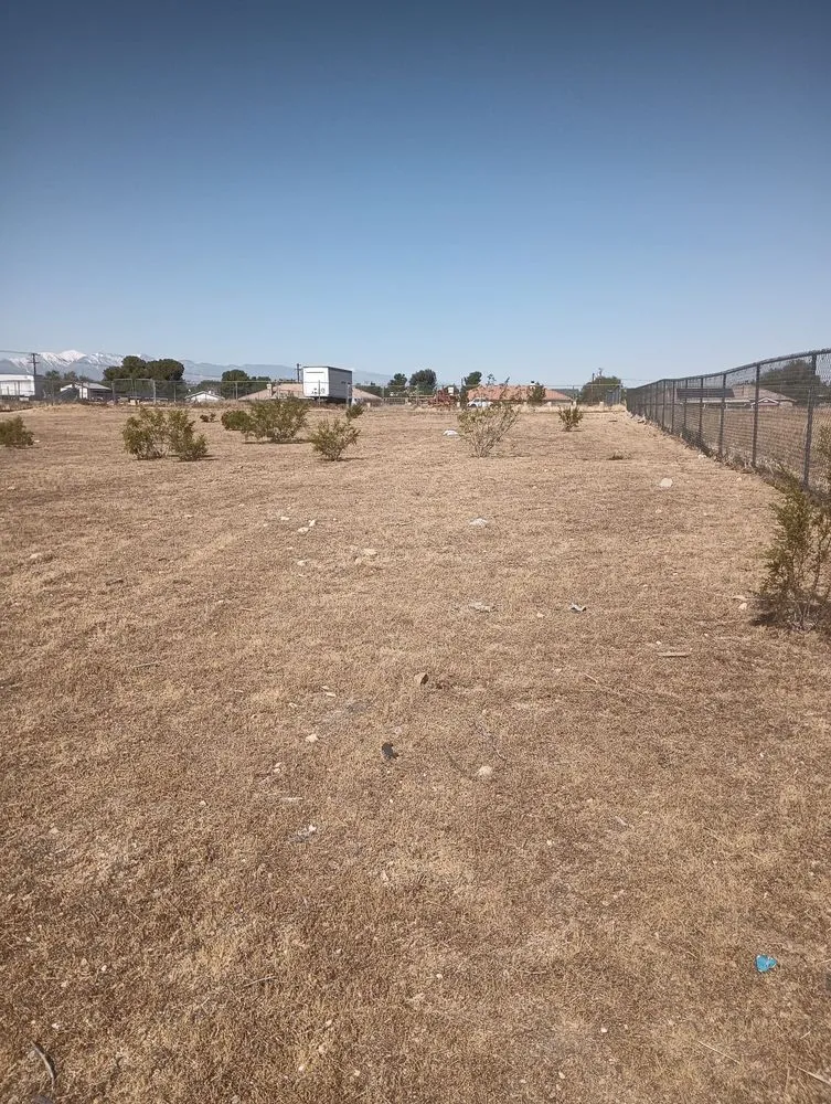 Top-rated yard cleanup service in Redlands, CA - Martinez Landscaping