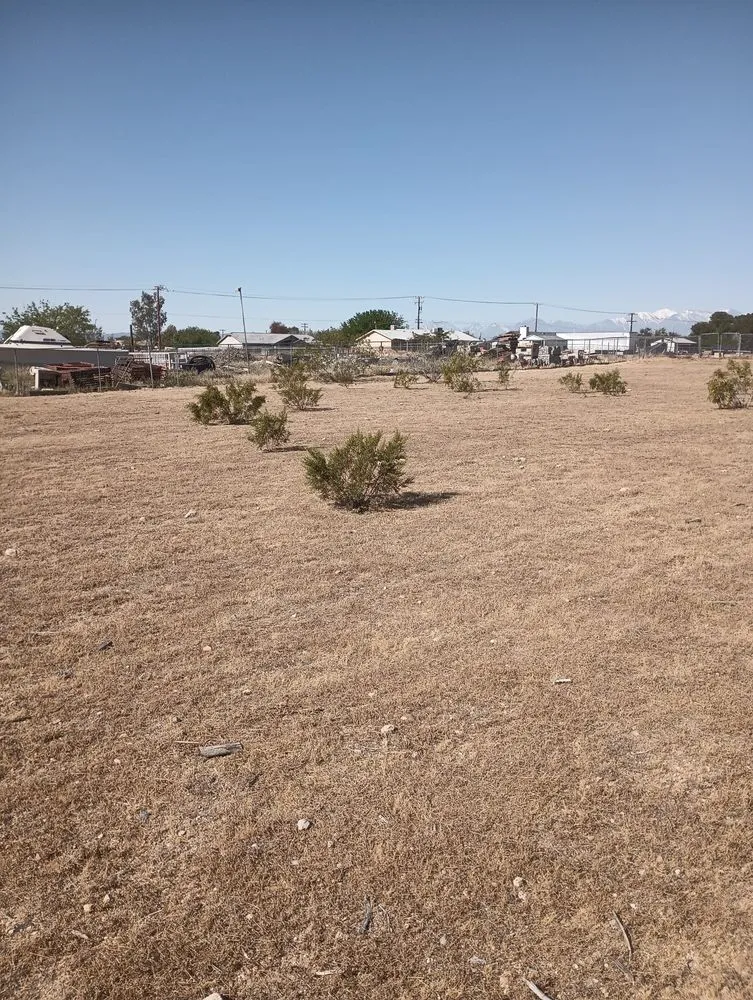 Reliable residential landscaping in Redlands, CA by Martinez Landscaping