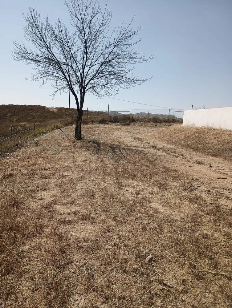 Custom lawn care service in Redlands, CA - Martinez Landscaping