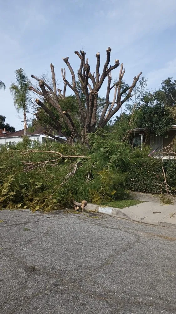 Top-rated lawn mowing service for outdoor upgrades across Redlands, CA - Martinez Landscaping