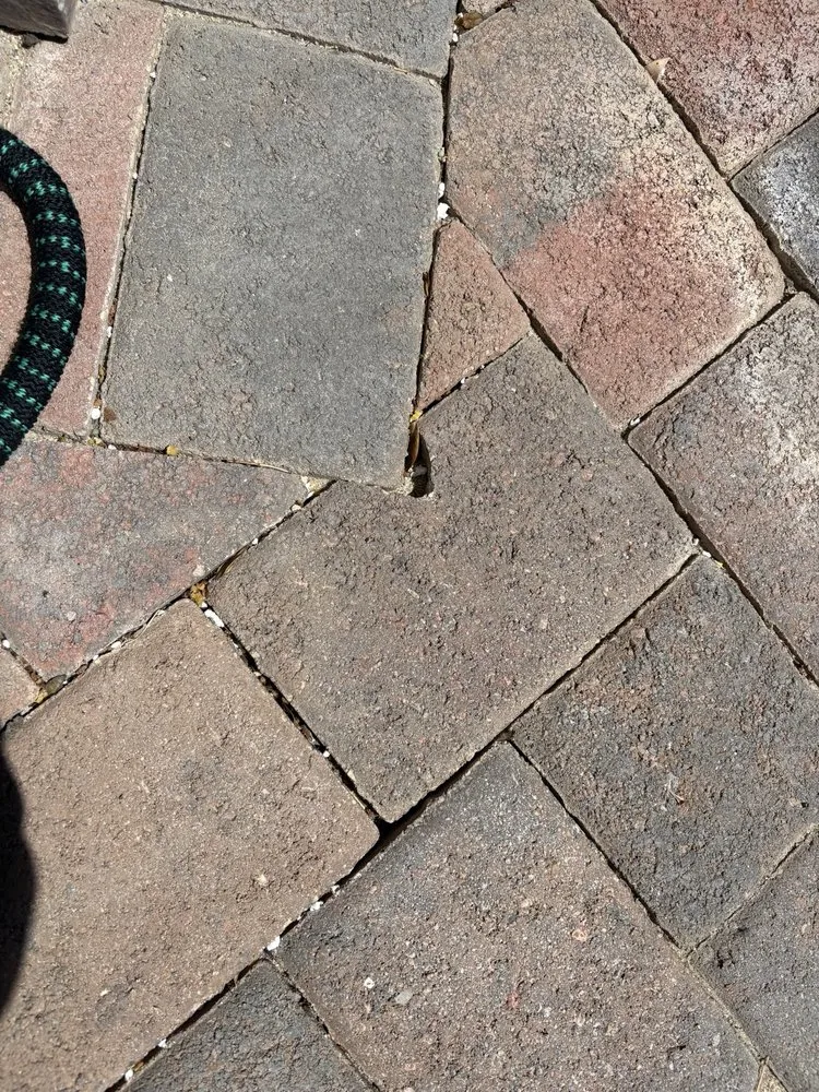 Top-rated landscape design experts serving Reno, NV - Martinez Landscaping