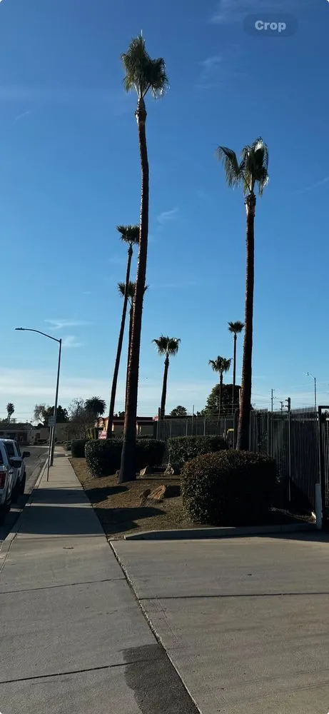 Local landscape installation for residential properties in Santa Maria, CA by Martinez Landscaping