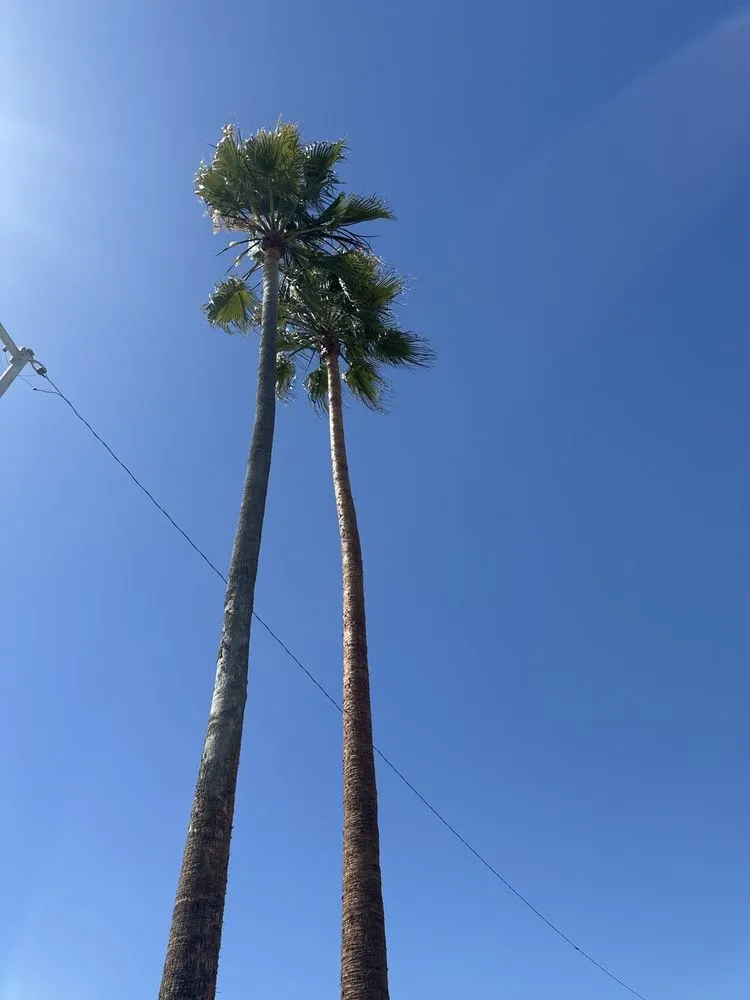 Affordable lawn mowing service in Santa Maria, CA - Martinez Landscaping