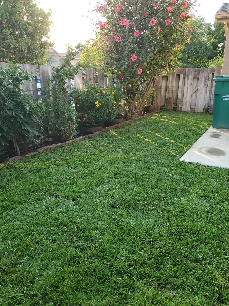 Expert residential landscaping experts serving Santa Maria, CA - Martinez Landscaping