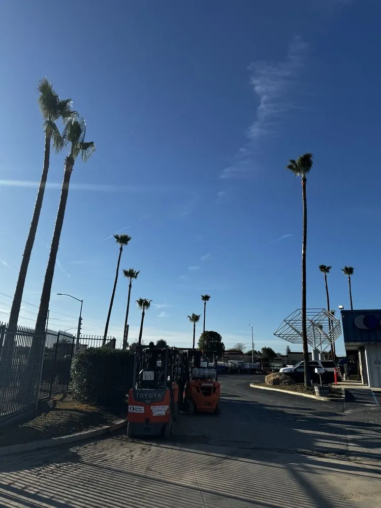 Professional landscaping services for beautiful yards across Santa Maria, CA - Martinez Landscaping