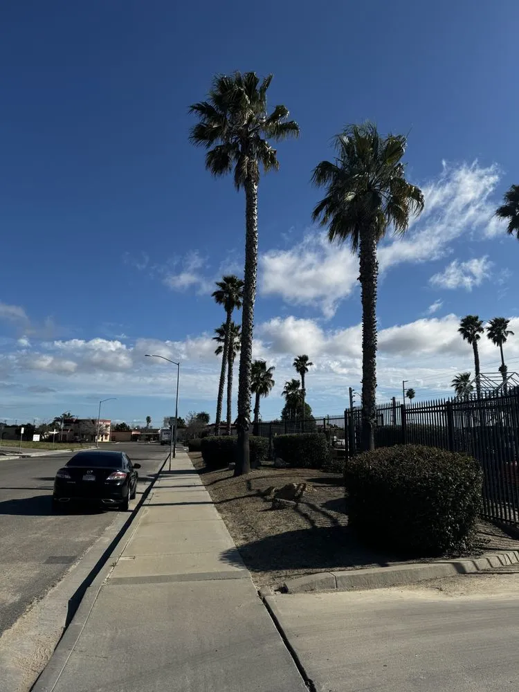 Professional landscaping services in Santa Maria, CA by Martinez Landscaping