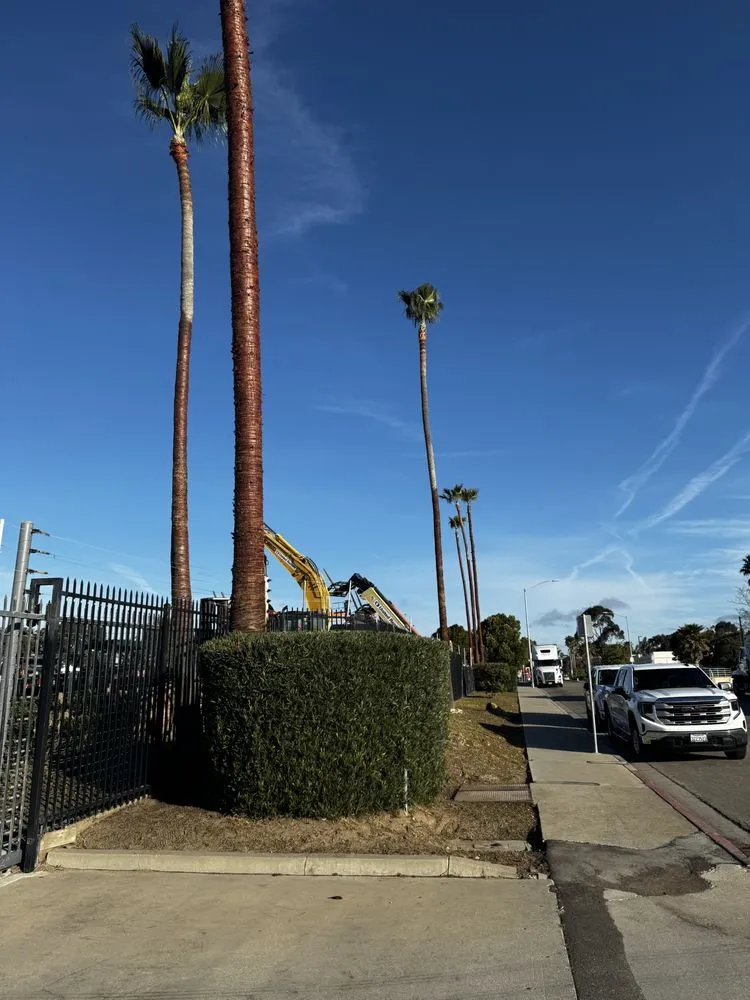 Top-rated landscape design for beautiful yards in Santa Maria, CA by Martinez Landscaping