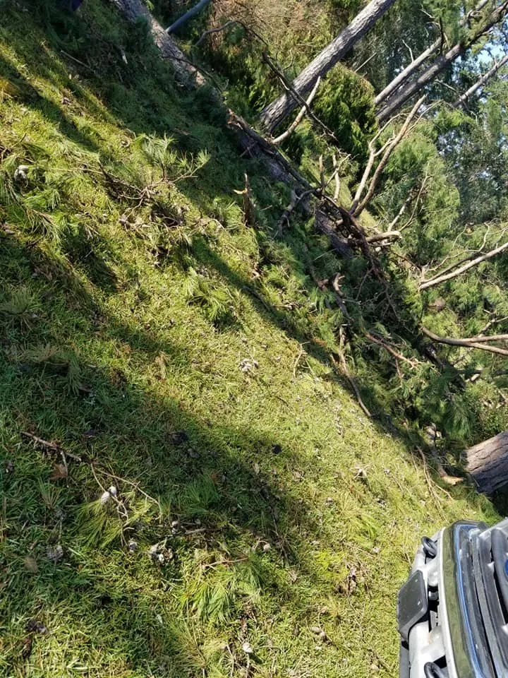 Custom landscape installation for homes in Albany, GA by Martinez Landscaping Services