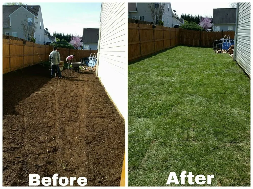 Professional outdoor landscaping for year-round maintenance across Albany, GA - Martinez Landscaping Services