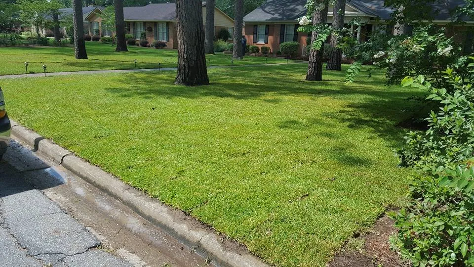 Custom outdoor landscaping with custom design across Albany, GA - Martinez Landscaping Services