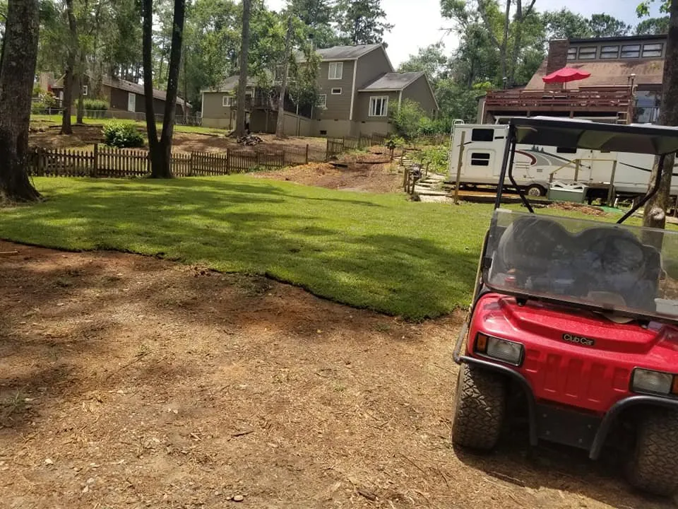 Professional yard cleanup service in Albany, GA by Martinez Landscaping Services