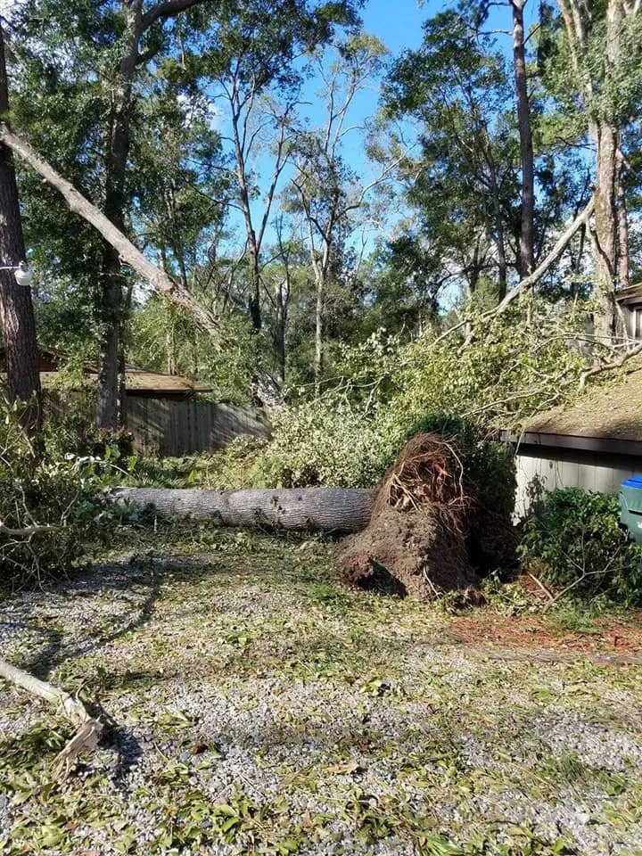 Trusted yard maintenance experts serving Albany, GA - Martinez Landscaping Services