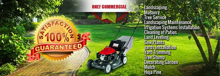 Top-rated yard cleanup service experts serving Albany, GA - Martinez Landscaping Services