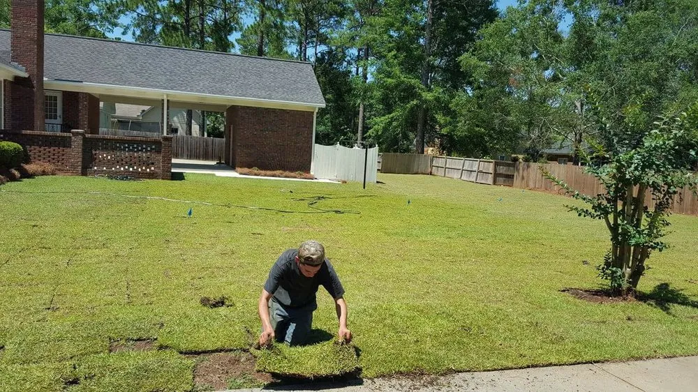 Trusted landscape installation for year-round maintenance in Albany, GA by Martinez Landscaping Services