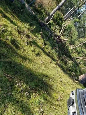 Martinez Landscaping Services Logo