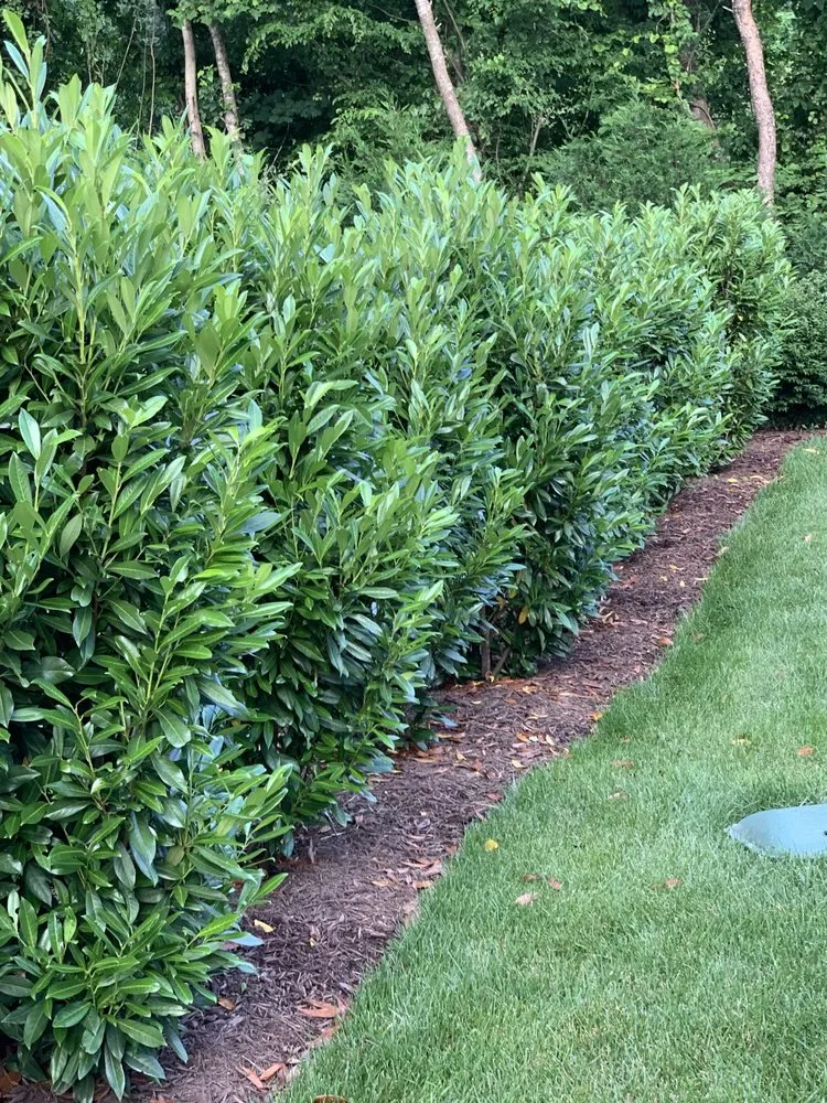 Custom landscape design in Hendersonville, NC by Martinez Landscaping Services