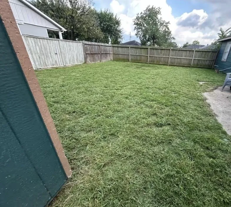 Professional yard cleanup service in Thornton, CO - Martinez Landscaping