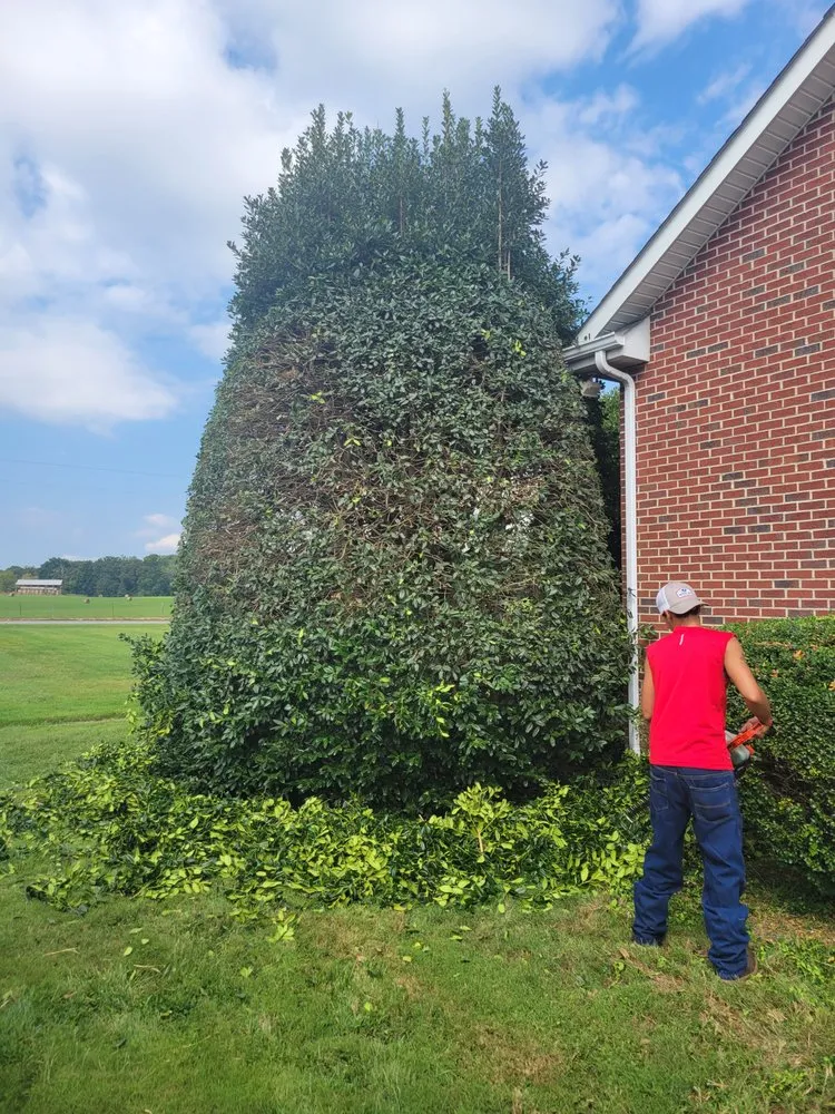 Affordable landscape design in Tullahoma, TN - Martinez Landscaping