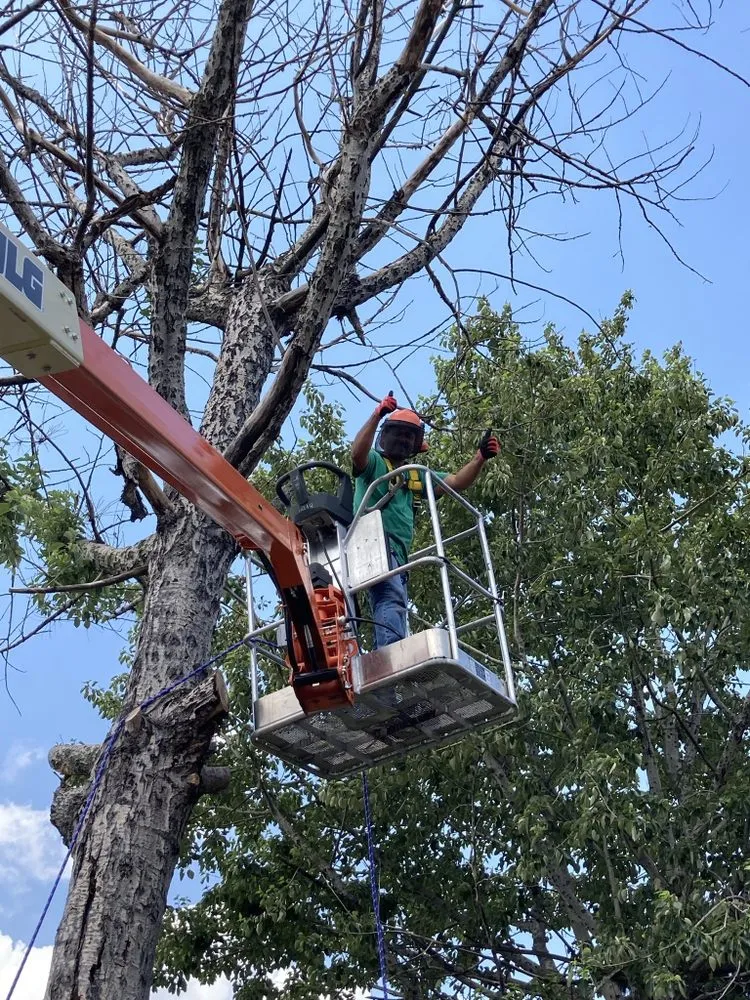 Expert outdoor landscaping for outdoor upgrades in Watertown, WI by Martinez Landscaping