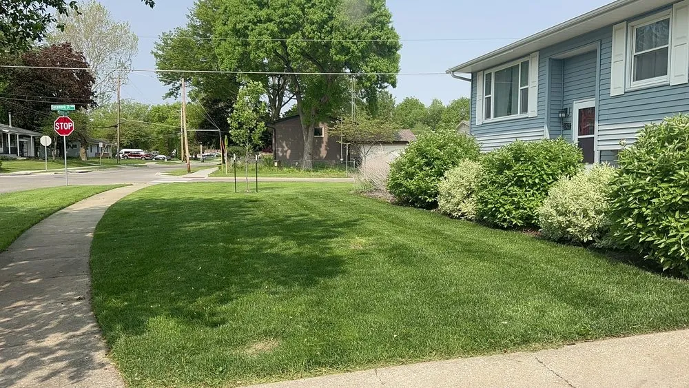 Trusted yard cleanup service in West Liberty, IA - Martinez Landscaping