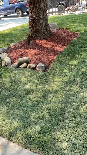 Affordable outdoor landscaping in Winchester, CA - Martinez Landscaping