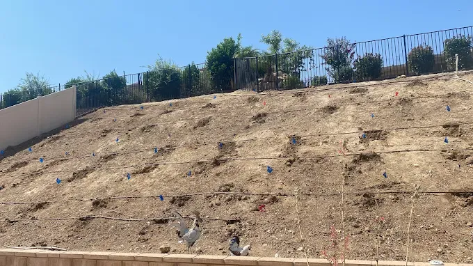 Reliable outdoor landscaping for beautiful yards across Winchester, CA - Martinez Landscaping