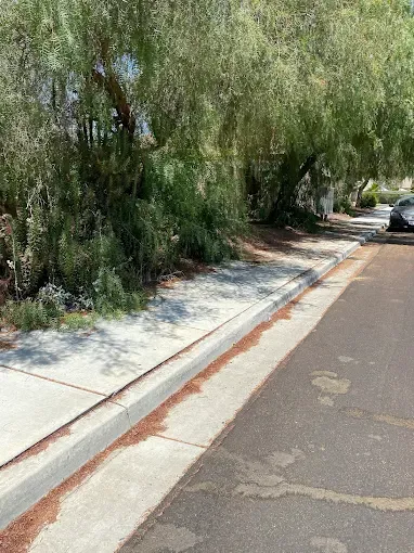 Trusted yard maintenance for outdoor upgrades in Winchester, CA by Martinez Landscaping