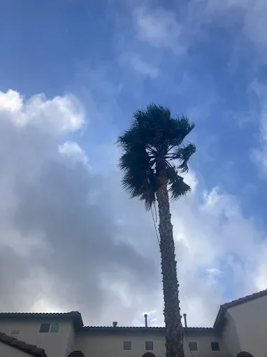 Trusted lawn mowing service experts serving Winchester, CA - Martinez Landscaping