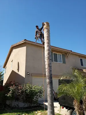 Martinez Landscaping Logo