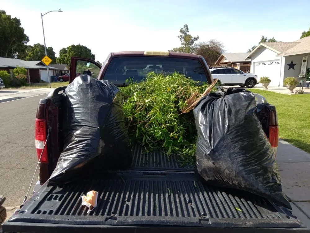 Professional residential landscaping for outdoor upgrades in Yuma, AZ by Martinez Landscaping