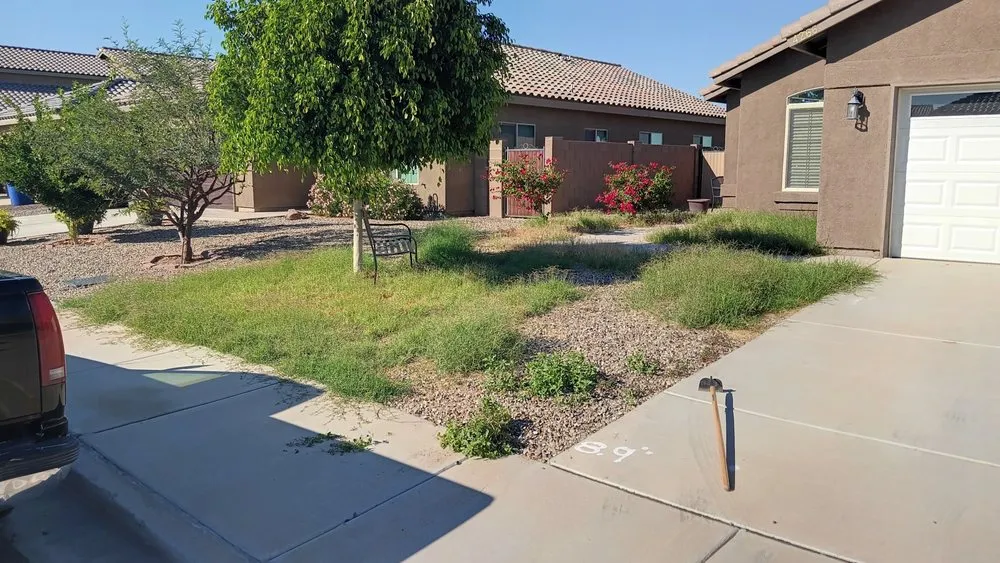 Custom yard cleanup service near you in Yuma, AZ by Martinez Landscaping