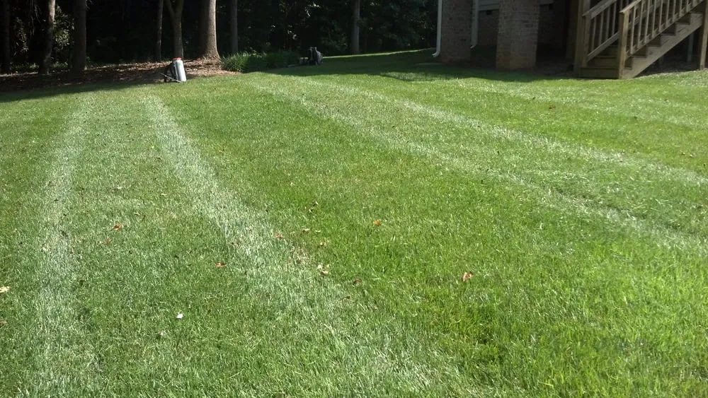 Professional garden landscaping for outdoor upgrades across Smithfield, NC - Martinez Lawn & Landscaping