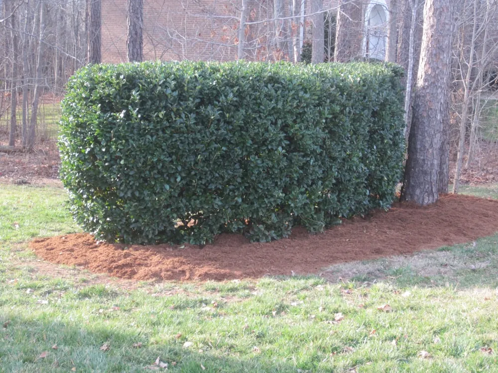 Expert residential landscaping in Smithfield, NC by Martinez Lawn & Landscaping