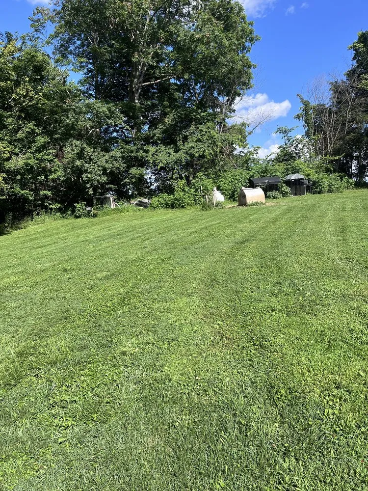 Top-rated outdoor landscaping experts serving Corydon, IN - Martinez Lawn Care