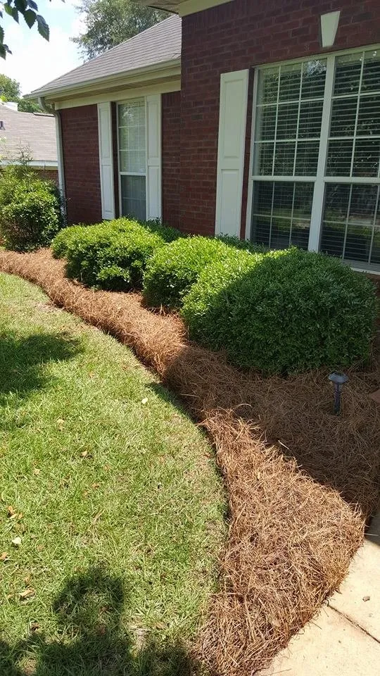 Custom residential landscaping for residential properties across New Brockton, AL - Martinez Lawn Care